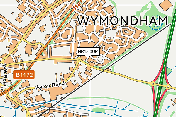 NR18 0UP map - OS VectorMap District (Ordnance Survey)