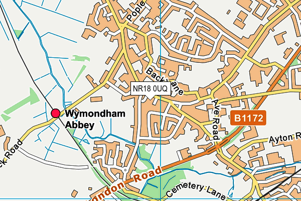 NR18 0UQ map - OS VectorMap District (Ordnance Survey)