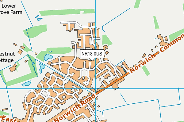 NR18 0US map - OS VectorMap District (Ordnance Survey)