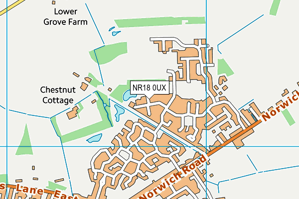 NR18 0UX map - OS VectorMap District (Ordnance Survey)