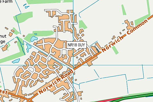 NR18 0UY map - OS VectorMap District (Ordnance Survey)