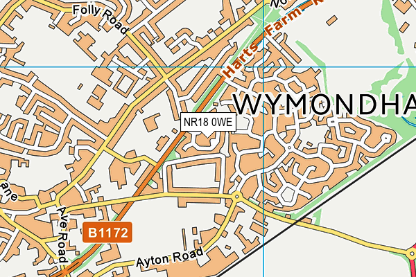 NR18 0WE map - OS VectorMap District (Ordnance Survey)