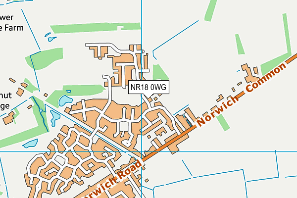 NR18 0WG map - OS VectorMap District (Ordnance Survey)