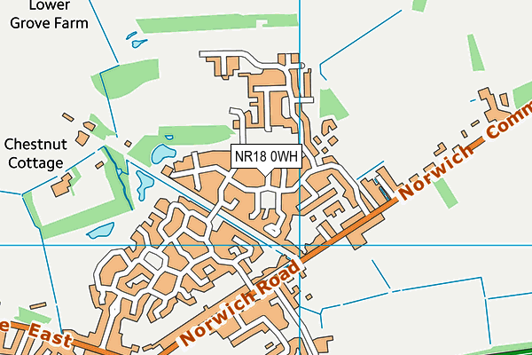 NR18 0WH map - OS VectorMap District (Ordnance Survey)
