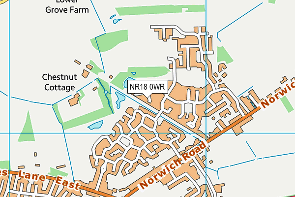 NR18 0WR map - OS VectorMap District (Ordnance Survey)