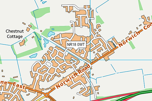 NR18 0WT map - OS VectorMap District (Ordnance Survey)