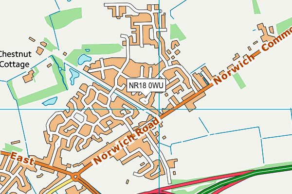 NR18 0WU map - OS VectorMap District (Ordnance Survey)