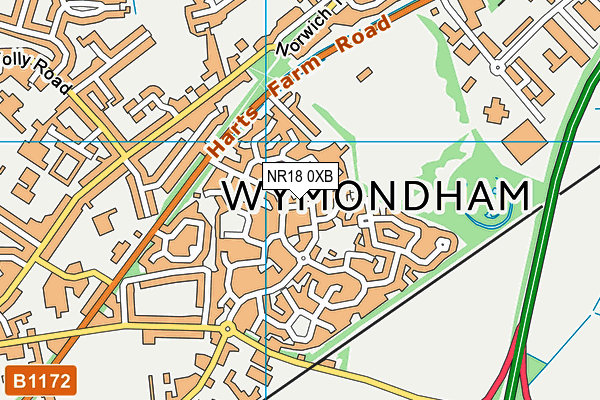 NR18 0XB map - OS VectorMap District (Ordnance Survey)