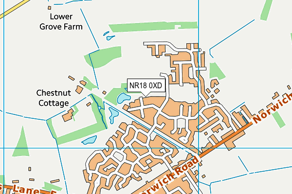 NR18 0XD map - OS VectorMap District (Ordnance Survey)
