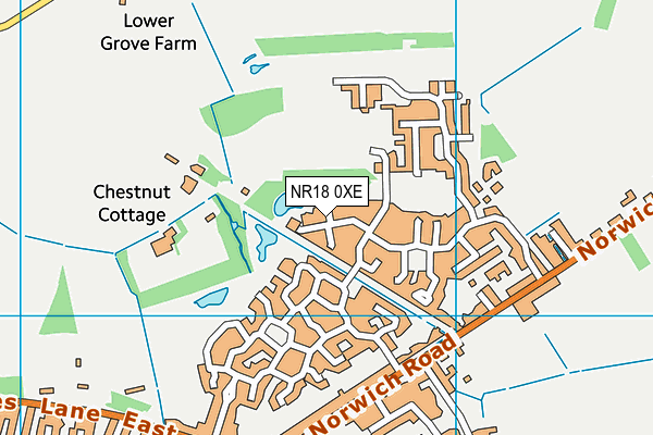 NR18 0XE map - OS VectorMap District (Ordnance Survey)