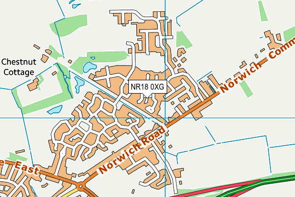 NR18 0XG map - OS VectorMap District (Ordnance Survey)