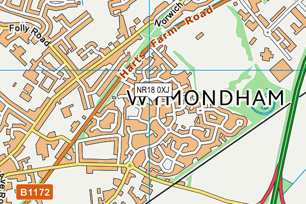 NR18 0XJ map - OS VectorMap District (Ordnance Survey)