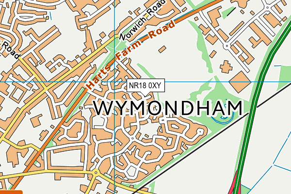 NR18 0XY map - OS VectorMap District (Ordnance Survey)