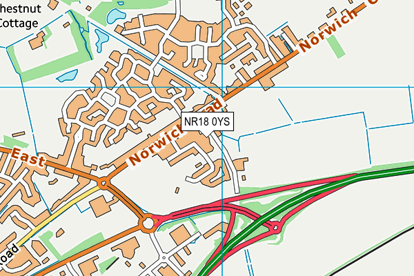 NR18 0YS map - OS VectorMap District (Ordnance Survey)