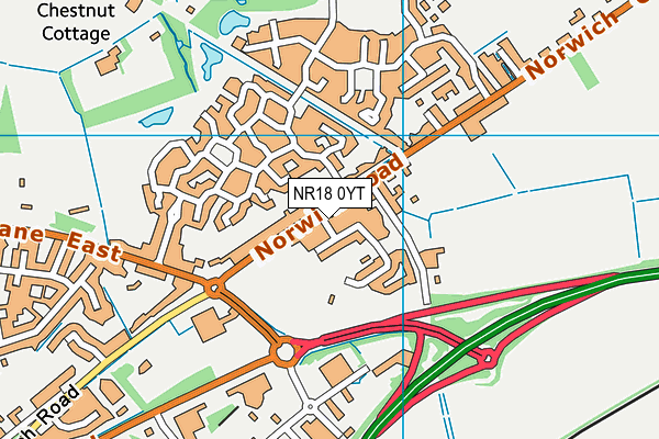 NR18 0YT map - OS VectorMap District (Ordnance Survey)