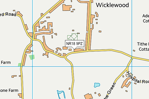 NR18 9PZ map - OS VectorMap District (Ordnance Survey)