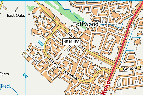 NR19 1ES map - OS VectorMap District (Ordnance Survey)