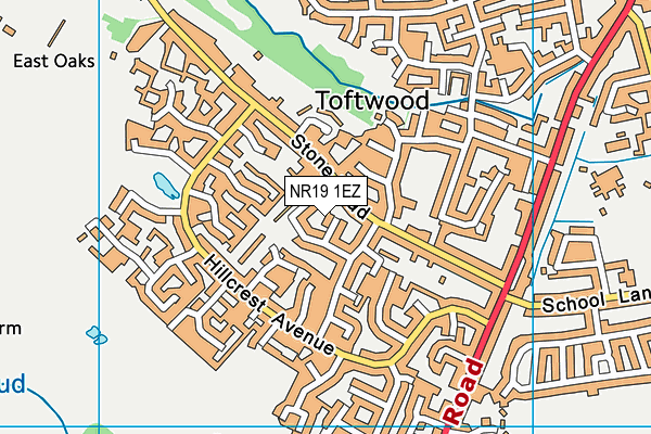 NR19 1EZ map - OS VectorMap District (Ordnance Survey)
