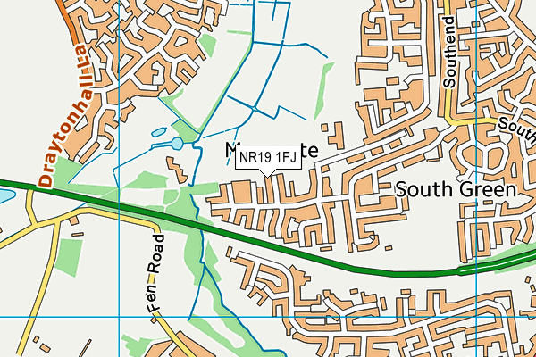 NR19 1FJ map - OS VectorMap District (Ordnance Survey)