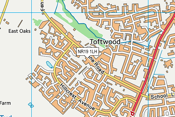 NR19 1LH map - OS VectorMap District (Ordnance Survey)