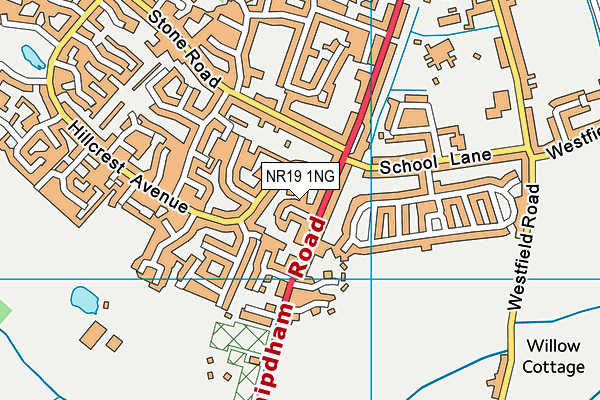 NR19 1NG map - OS VectorMap District (Ordnance Survey)