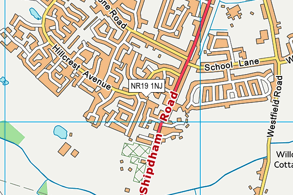 NR19 1NJ map - OS VectorMap District (Ordnance Survey)
