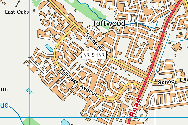 NR19 1NR map - OS VectorMap District (Ordnance Survey)
