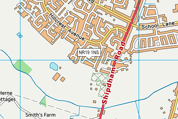 NR19 1NS map - OS VectorMap District (Ordnance Survey)