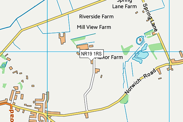 NR19 1RS map - OS VectorMap District (Ordnance Survey)