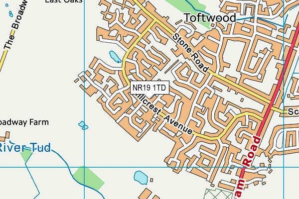 NR19 1TD map - OS VectorMap District (Ordnance Survey)