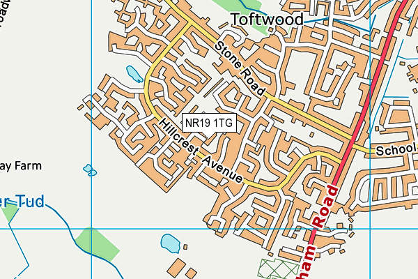 NR19 1TG map - OS VectorMap District (Ordnance Survey)