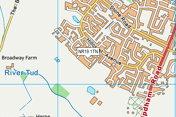 NR19 1TN map - OS VectorMap District (Ordnance Survey)