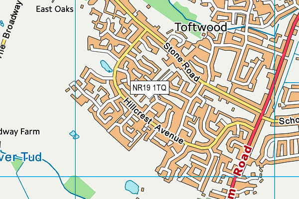 NR19 1TQ map - OS VectorMap District (Ordnance Survey)