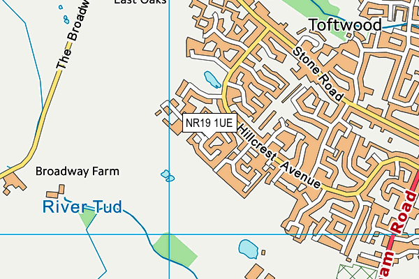 NR19 1UE map - OS VectorMap District (Ordnance Survey)