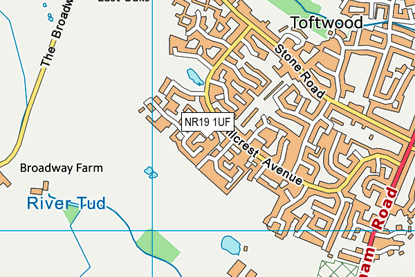NR19 1UF map - OS VectorMap District (Ordnance Survey)
