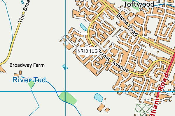 NR19 1UG map - OS VectorMap District (Ordnance Survey)