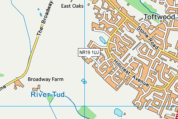 NR19 1UJ map - OS VectorMap District (Ordnance Survey)