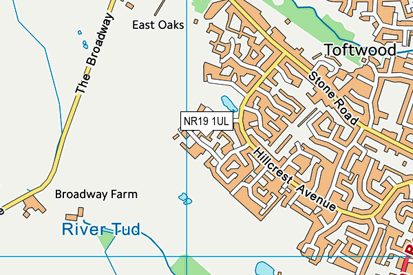 NR19 1UL map - OS VectorMap District (Ordnance Survey)