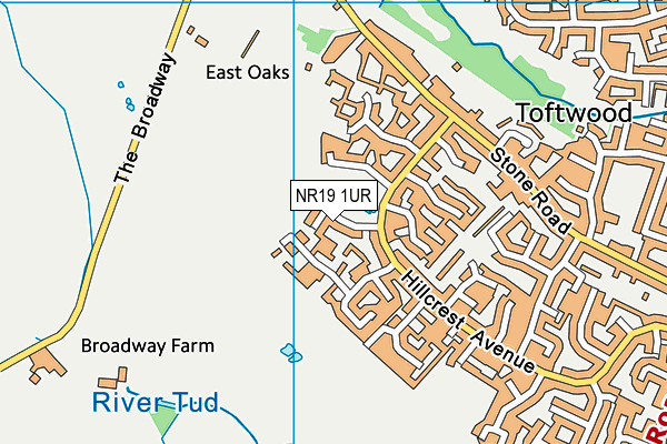 NR19 1UR map - OS VectorMap District (Ordnance Survey)