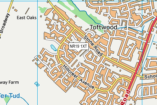NR19 1XT map - OS VectorMap District (Ordnance Survey)