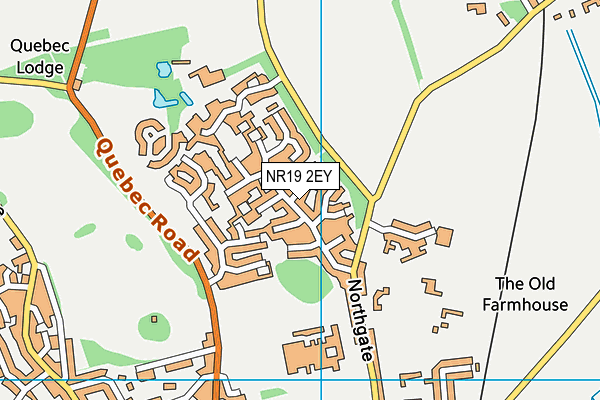NR19 2EY map - OS VectorMap District (Ordnance Survey)
