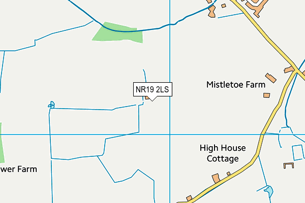 NR19 2LS map - OS VectorMap District (Ordnance Survey)