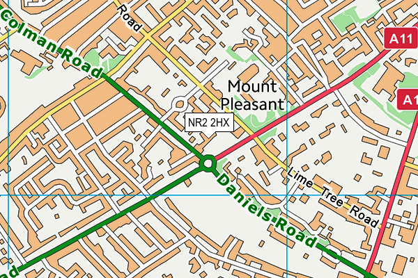 Town Close School (Main Field) map (NR2 2HX) - OS VectorMap District (Ordnance Survey)