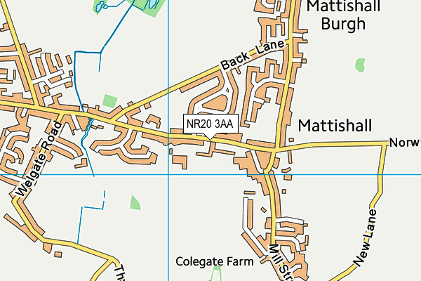 Mattishall Primary School map (NR20 3AA) - OS VectorMap District (Ordnance Survey)