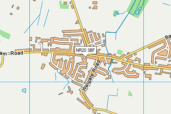 NR20 3BF map - OS VectorMap District (Ordnance Survey)