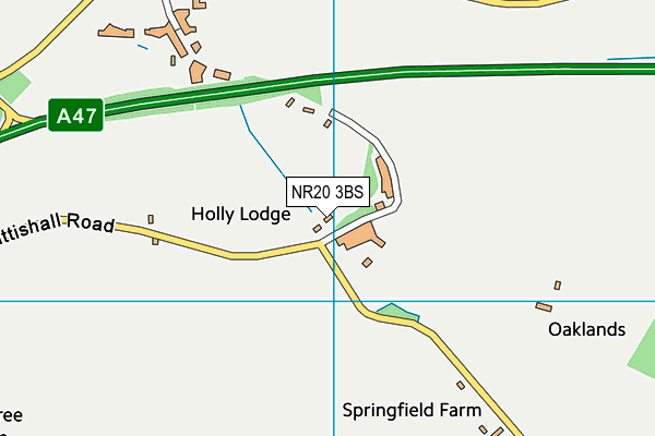 NR20 3BS map - OS VectorMap District (Ordnance Survey)
