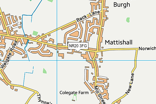 NR20 3FG map - OS VectorMap District (Ordnance Survey)