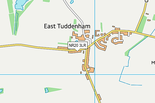 East Tuddenham Playing Fields map (NR20 3LR) - OS VectorMap District (Ordnance Survey)