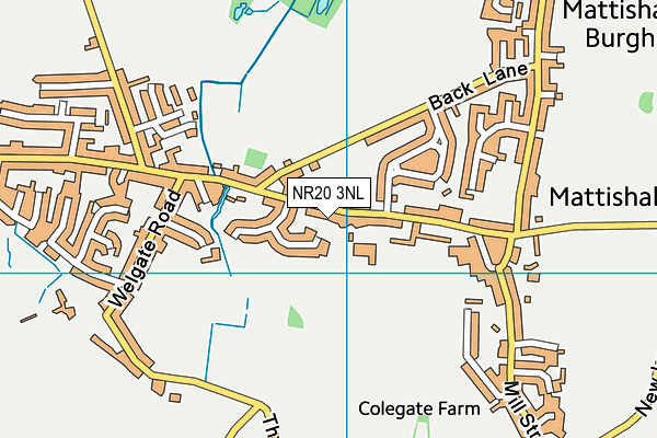 NR20 3NL map - OS VectorMap District (Ordnance Survey)