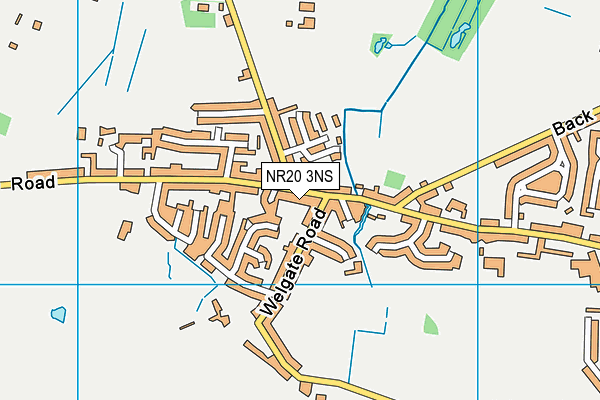 NR20 3NS map - OS VectorMap District (Ordnance Survey)